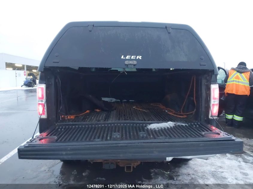 2010 Ford F-150 Stx/Xl/Xlt VIN: 1FTEX1E80AFD13439 Lot: 12479201