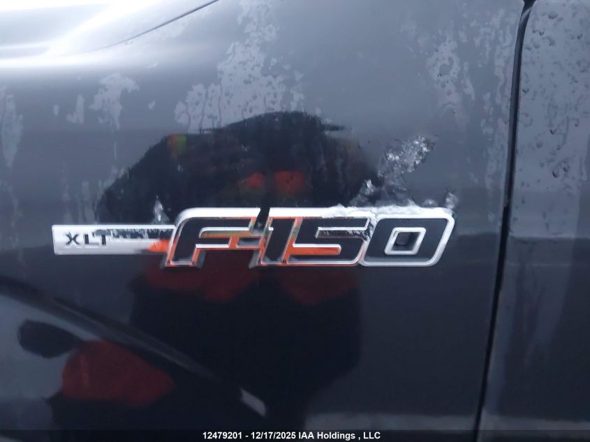 2010 Ford F-150 Stx/Xl/Xlt VIN: 1FTEX1E80AFD13439 Lot: 12479201