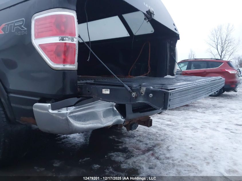 2010 Ford F-150 Stx/Xl/Xlt VIN: 1FTEX1E80AFD13439 Lot: 12479201