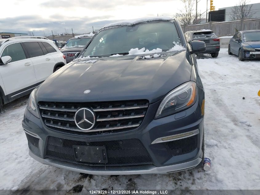 2014 Mercedes-Benz M-Class Ml 63 Amg VIN: 4JGDA7EB3EA434427 Lot: 12479228