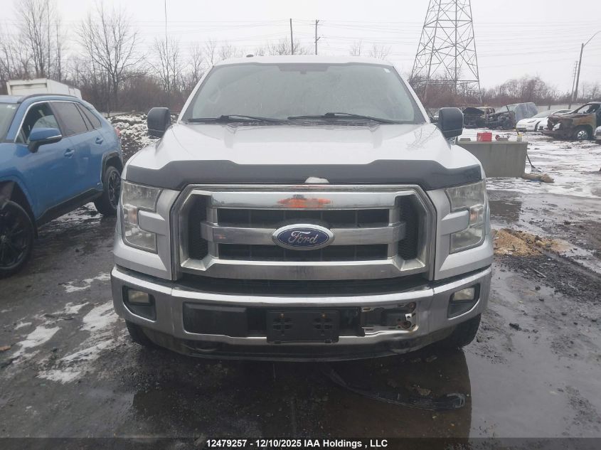 2015 Ford F-150 Xlt VIN: 1FTFW1EF4FKD45587 Lot: 12479257