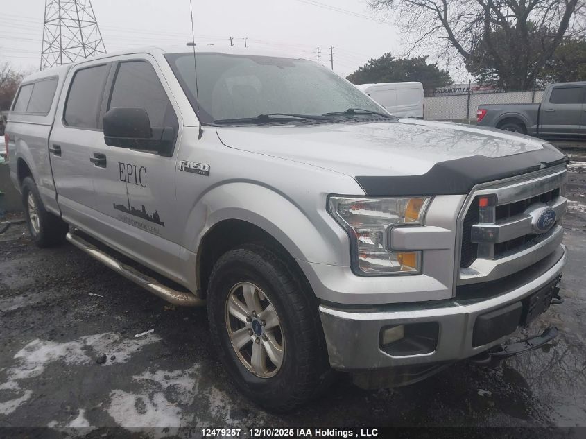 2015 Ford F-150 Xlt VIN: 1FTFW1EF4FKD45587 Lot: 12479257