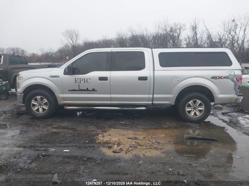 2015 Ford F-150 Xlt VIN: 1FTFW1EF4FKD45587 Lot: 12479257