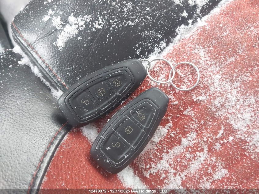 2017 Ford Fiesta St VIN: 3FADP4GX0HM156433 Lot: 12479372