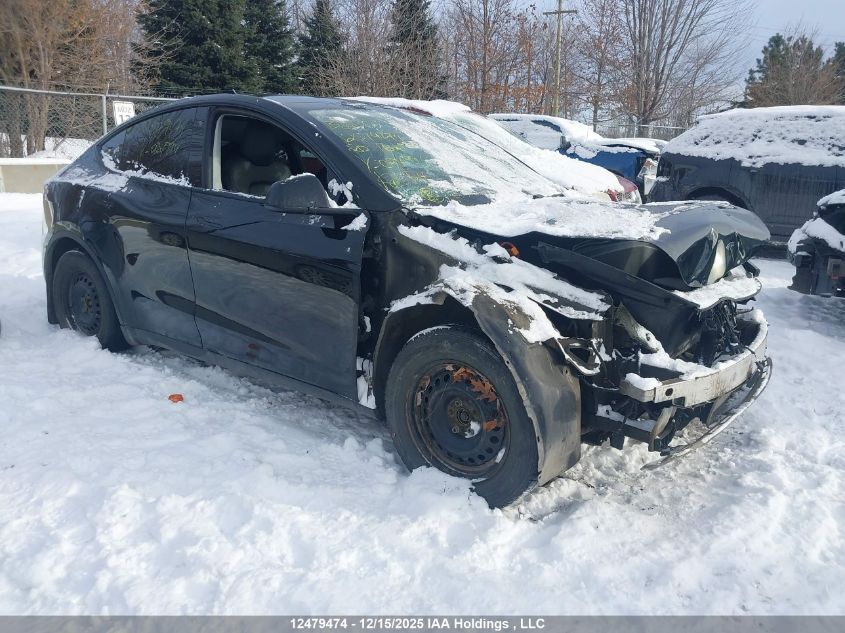 2020 Tesla Model Y Long Range VIN: 5YJYGDEE2LF024994 Lot: 12479474