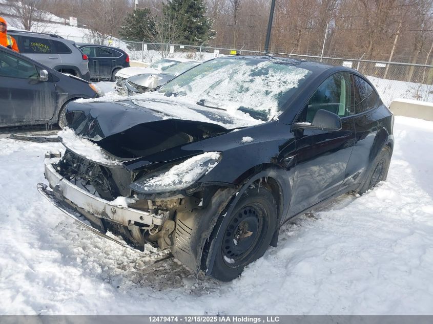 2020 Tesla Model Y Long Range VIN: 5YJYGDEE2LF024994 Lot: 12479474