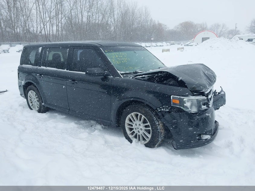 2FMHK6C81EBD01413 2014 Ford Flex Sel auction photo 1