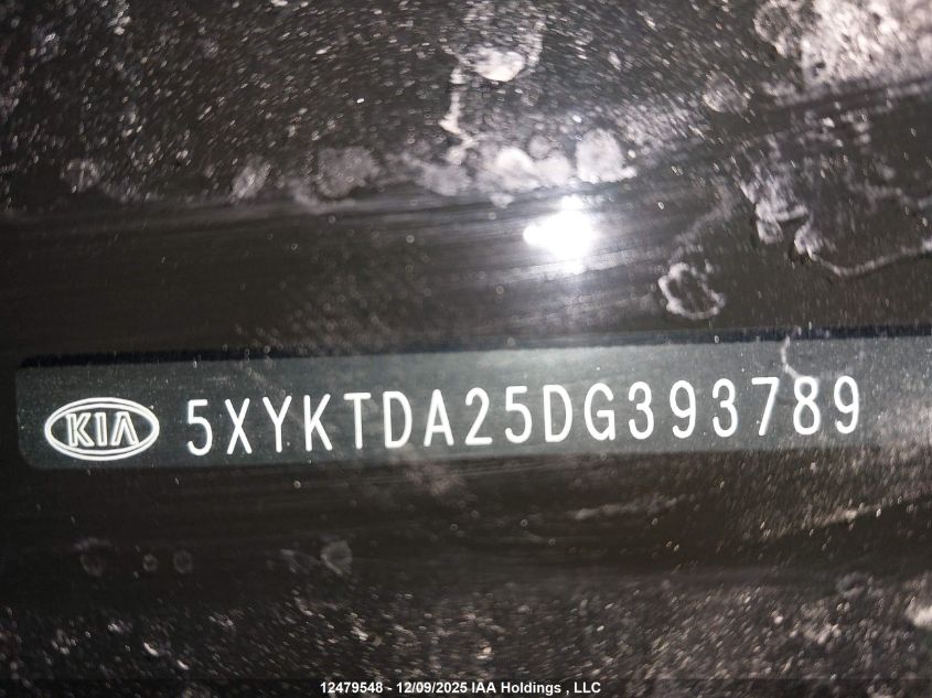 2013 Kia Sorento Lx VIN: 5XYKTDA25DG393789 Lot: 12479548