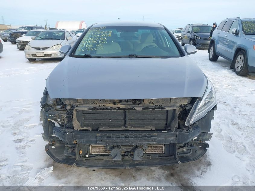 2016 Hyundai Sonata Hybrid Hybrid VIN: KMHE24L15GA036293 Lot: 12479559