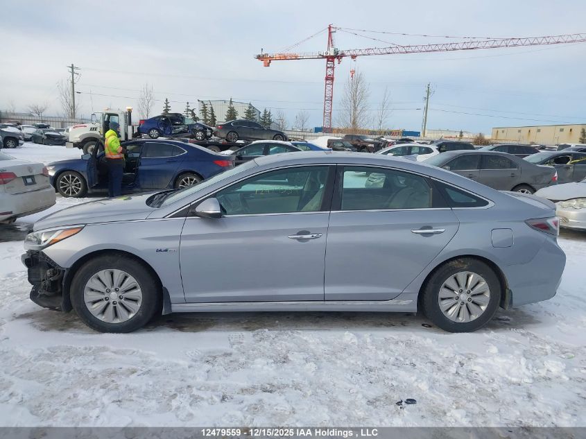 2016 Hyundai Sonata Hybrid Hybrid VIN: KMHE24L15GA036293 Lot: 12479559