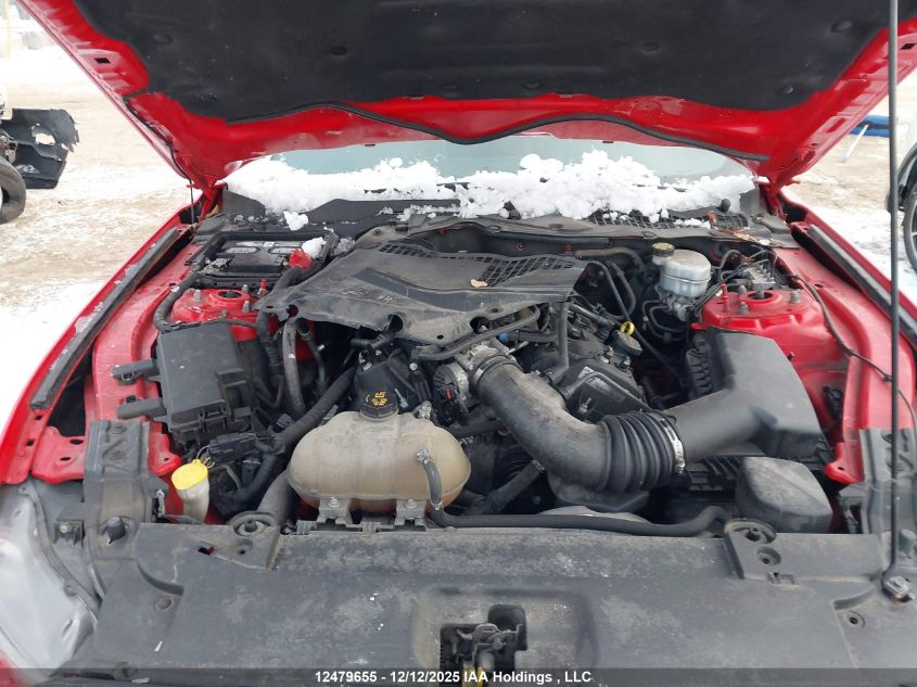 2017 Ford Mustang V6 VIN: 1FA6P8AM9H5299014 Lot: 12479655