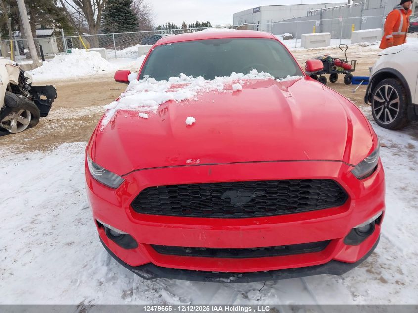 2017 Ford Mustang V6 VIN: 1FA6P8AM9H5299014 Lot: 12479655