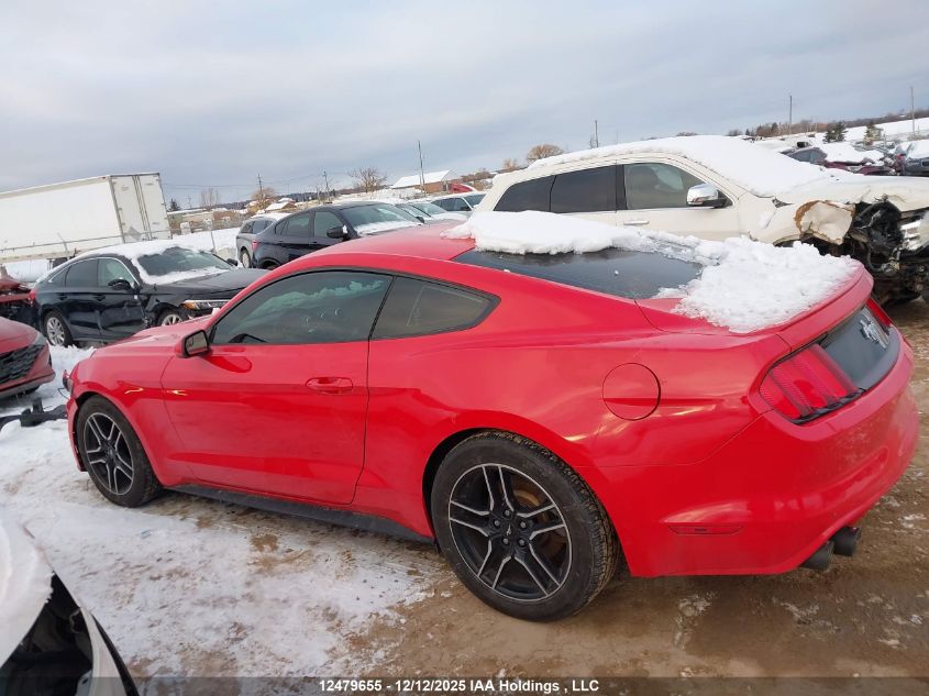 2017 Ford Mustang V6 VIN: 1FA6P8AM9H5299014 Lot: 12479655