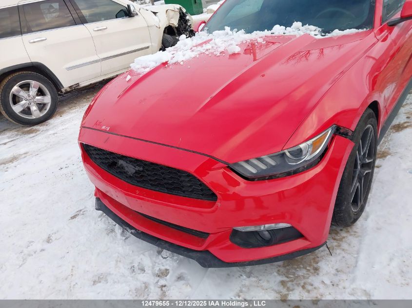 2017 Ford Mustang V6 VIN: 1FA6P8AM9H5299014 Lot: 12479655