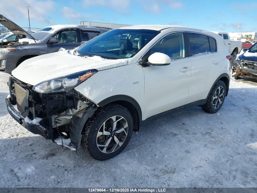 2021 Kia Sportage Lx VIN: KNDPMCAC8M7894274 Lot: 12479664