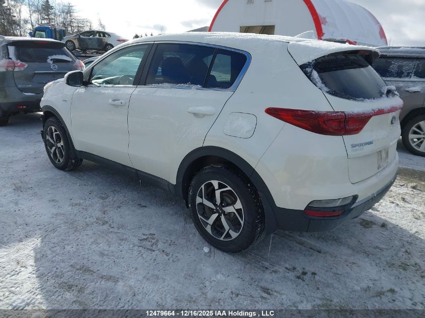 2021 Kia Sportage Lx VIN: KNDPMCAC8M7894274 Lot: 12479664