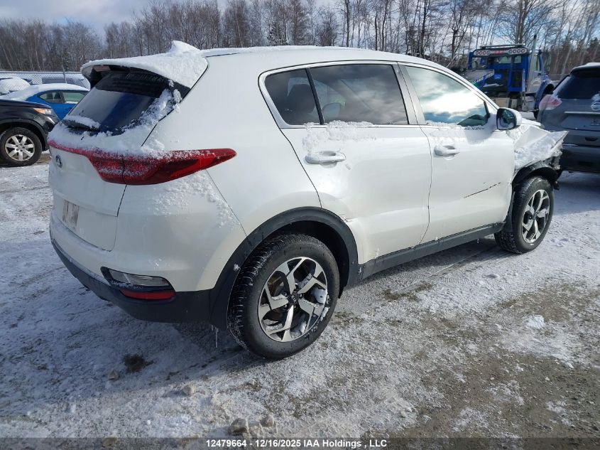 2021 Kia Sportage Lx VIN: KNDPMCAC8M7894274 Lot: 12479664