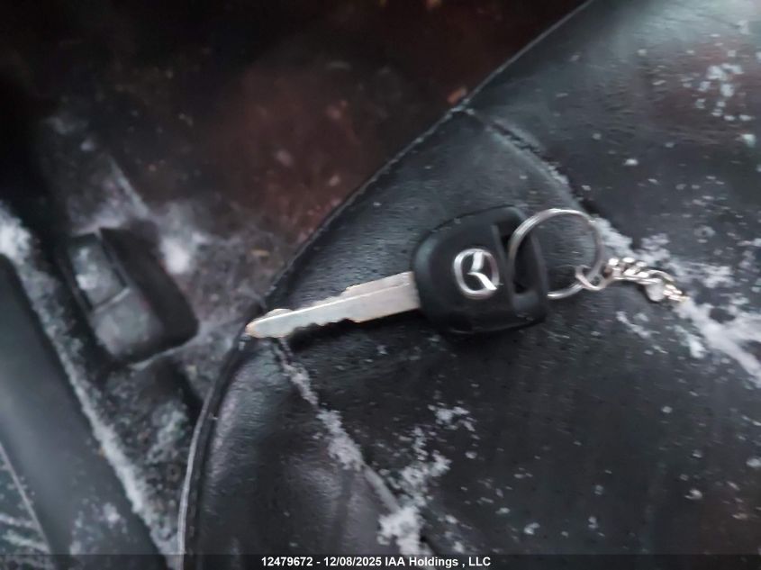 2009 Mazda Mazda3 Gs/Gt VIN: JM1BK343X91206863 Lot: 12479672