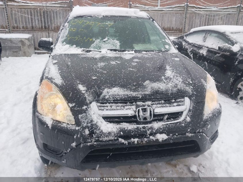 2002 Honda Cr-V Ex VIN: JHLRD78922C801699 Lot: 12479757