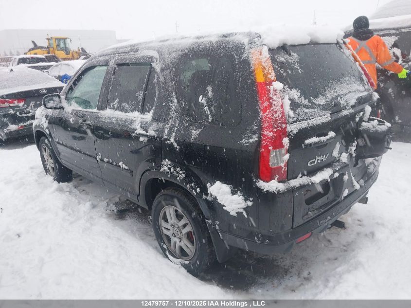 2002 Honda Cr-V Ex VIN: JHLRD78922C801699 Lot: 12479757