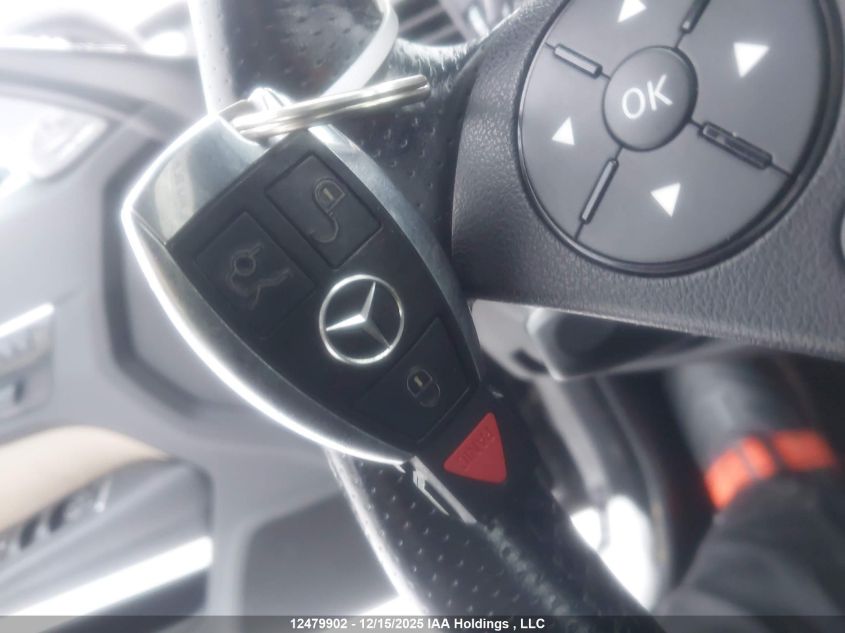 2010 Mercedes-Benz E 550 VIN: WDDKJ7CB9AF049925 Lot: 12479902