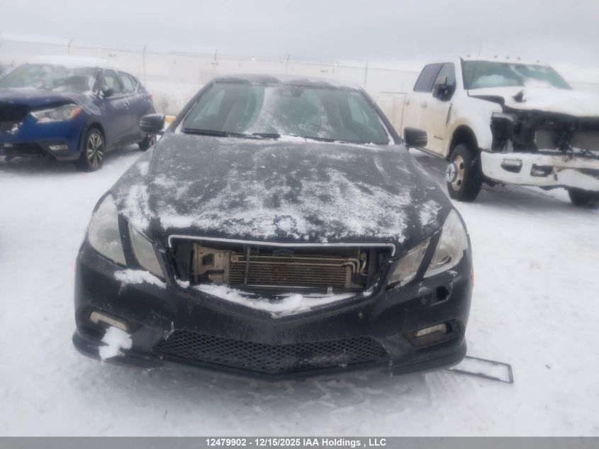 2010 Mercedes-Benz E 550 VIN: WDDKJ7CB9AF049925 Lot: 12479902