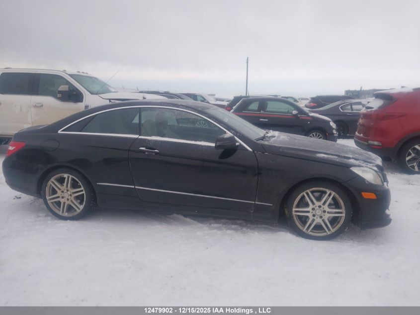 2010 Mercedes-Benz E 550 VIN: WDDKJ7CB9AF049925 Lot: 12479902