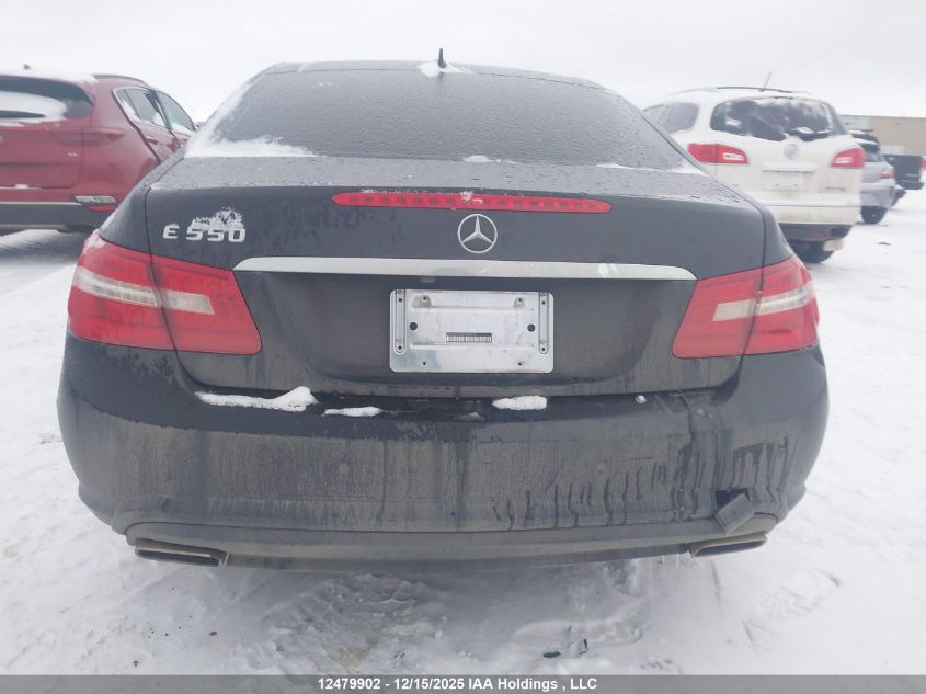 2010 Mercedes-Benz E 550 VIN: WDDKJ7CB9AF049925 Lot: 12479902
