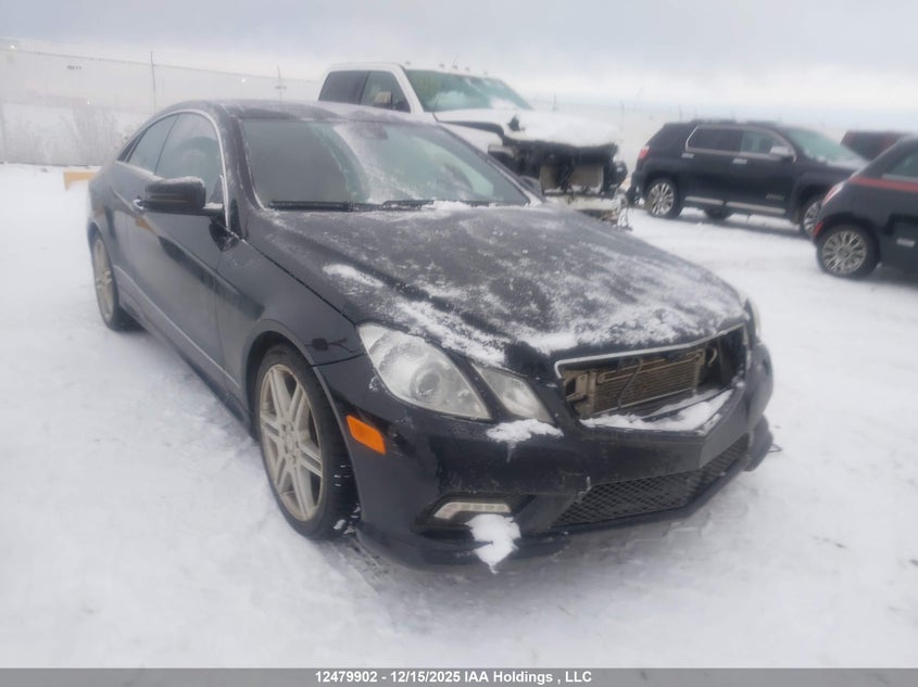 WDDKJ7CB9AF049925 2010 Mercedes-Benz E 550 auction photo 1