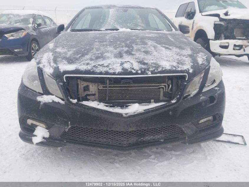 2010 Mercedes-Benz E 550 VIN: WDDKJ7CB9AF049925 Lot: 12479902