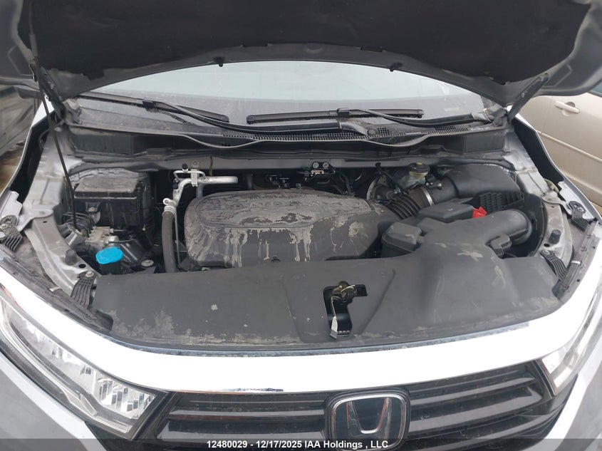 2022 Honda Odyssey Ex-L VIN: 5FNRL6H6XNB501285 Lot: 12480029