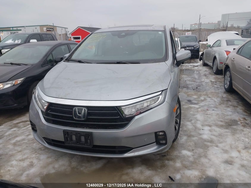 2022 Honda Odyssey Ex-L VIN: 5FNRL6H6XNB501285 Lot: 12480029