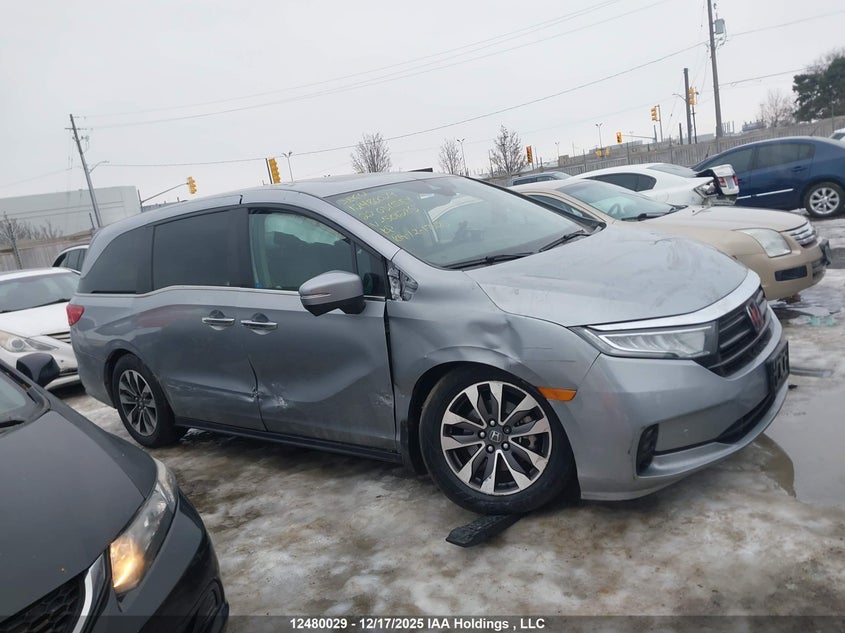 2022 Honda Odyssey Ex-L VIN: 5FNRL6H6XNB501285 Lot: 12480029