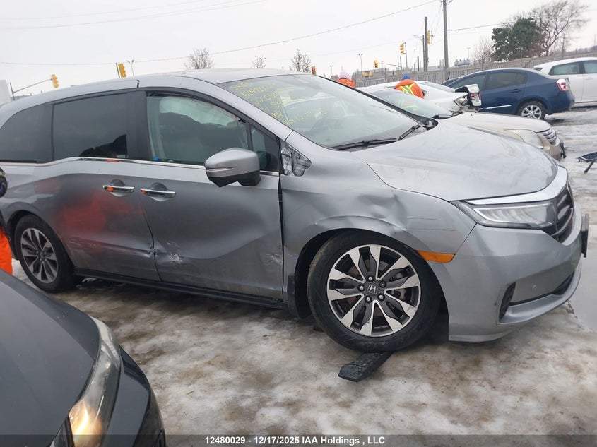 2022 Honda Odyssey Ex-L VIN: 5FNRL6H6XNB501285 Lot: 12480029