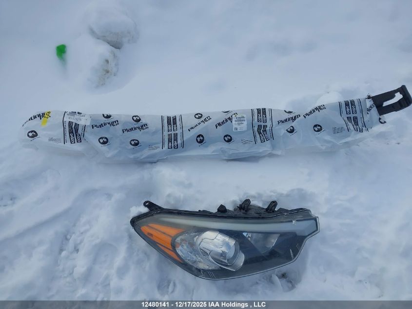 2015 Kia Forte 1.8L Lx/1.8L Lx+/Lx+ Winter Edition VIN: KNAFX4A64F5341393 Lot: 12480141