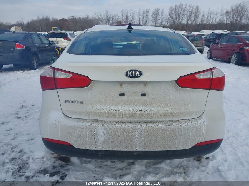 2015 Kia Forte 1.8L Lx/1.8L Lx+/Lx+ Winter Edition VIN: KNAFX4A64F5341393 Lot: 12480141