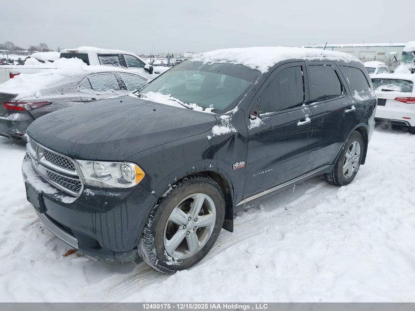 1D4SE5GT3BC720744 2011 DODGE DURANGO photo no. 2