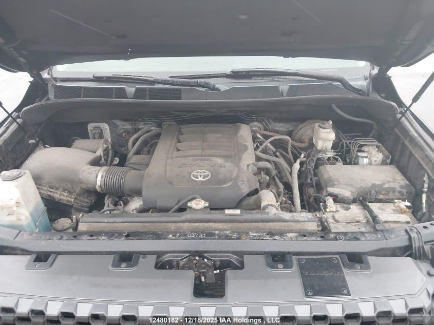 2020 Toyota Tundra VIN: 5TFDY5F18LX950951 Lot: 12480182