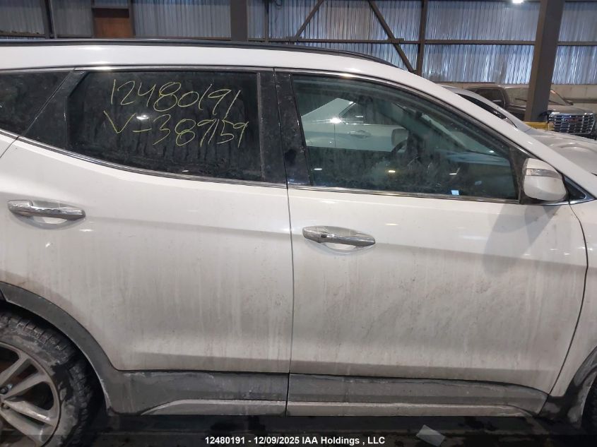 2017 Hyundai Santa Fe Sport VIN: 5XYZUDLAXHG389159 Lot: 12480191