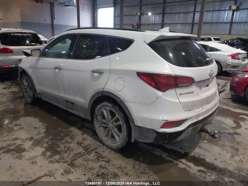 2017 Hyundai Santa Fe Sport VIN: 5XYZUDLAXHG389159 Lot: 12480191
