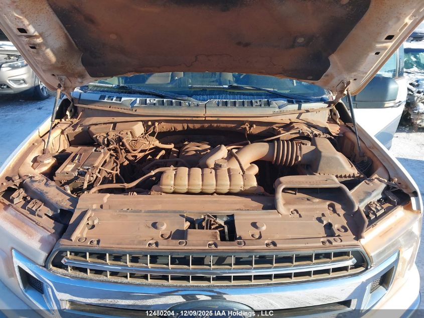 2020 Ford F150 Supercrew VIN: 1FTEW1E57LFA85810 Lot: 12480204