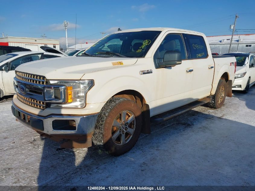 2020 Ford F150 Supercrew VIN: 1FTEW1E57LFA85810 Lot: 12480204