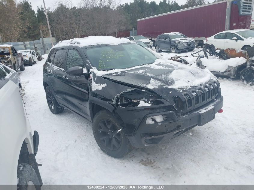 2017 Jeep Cherokee Trailhawk VIN: 1C4PJMBS5HD234396 Lot: 12480224