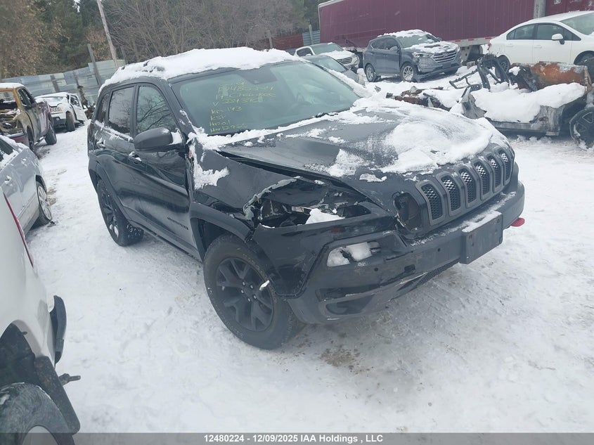 1C4PJMBS5HD234396 2017 Jeep Cherokee Trailhawk auction photo 1