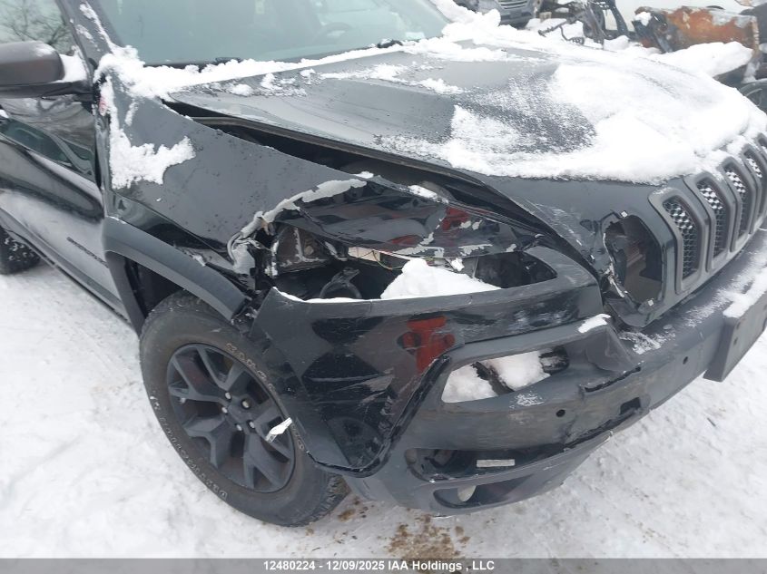 2017 Jeep Cherokee Trailhawk VIN: 1C4PJMBS5HD234396 Lot: 12480224