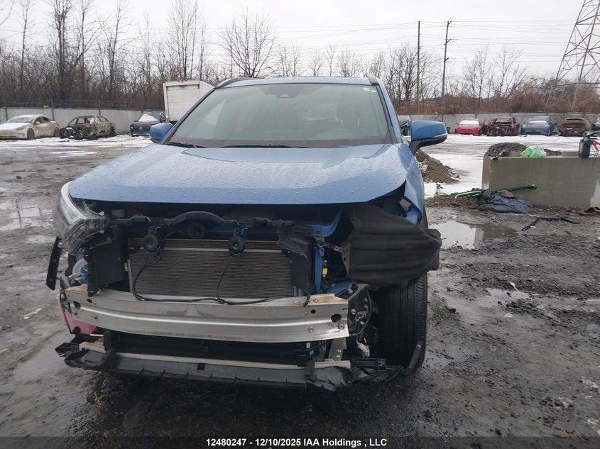 2T34WRFV4PW170035 2023 TOYOTA RAV 4 photo no. 12