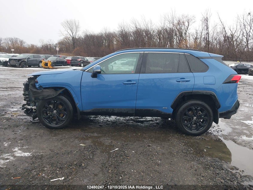 2T34WRFV4PW170035 2023 TOYOTA RAV 4 photo no. 14