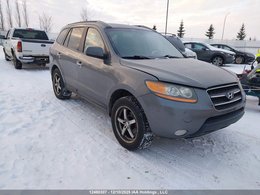 5NMSH73E49H258391 2009 Hyundai Santa Fe Se/Limited auction photo 1