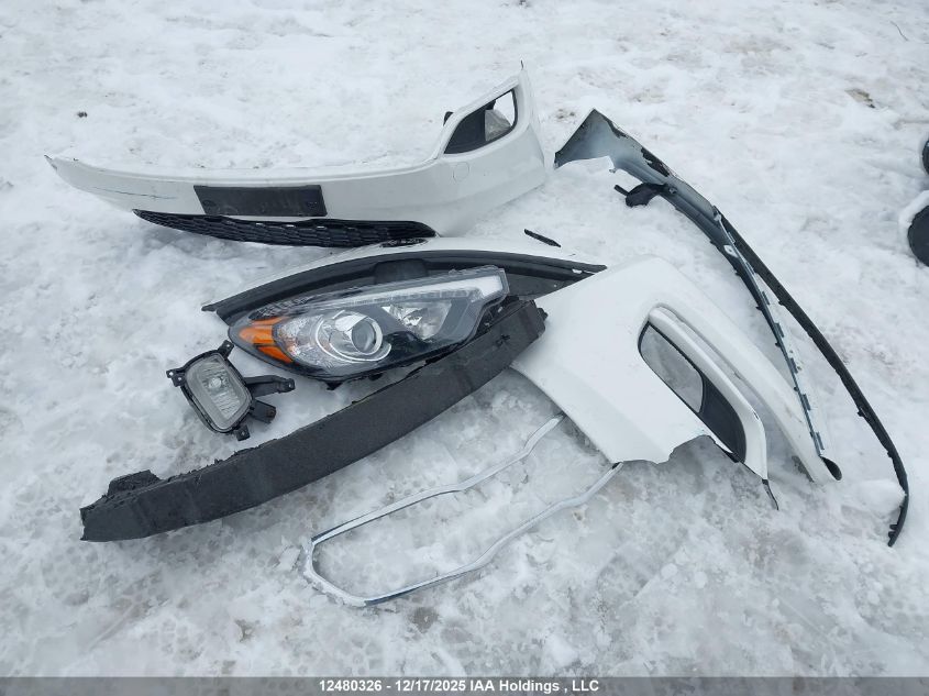 2014 Kia Forte Ex VIN: KNAFZ4A89E5138350 Lot: 12480326