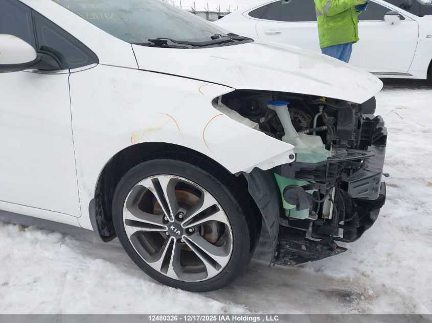 2014 Kia Forte Ex VIN: KNAFZ4A89E5138350 Lot: 12480326